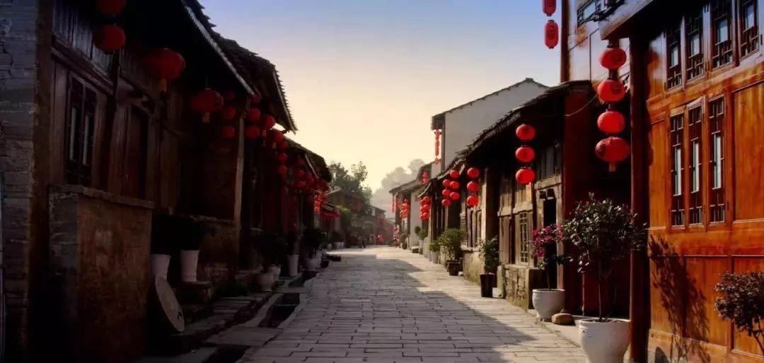 凤凰不好惹
